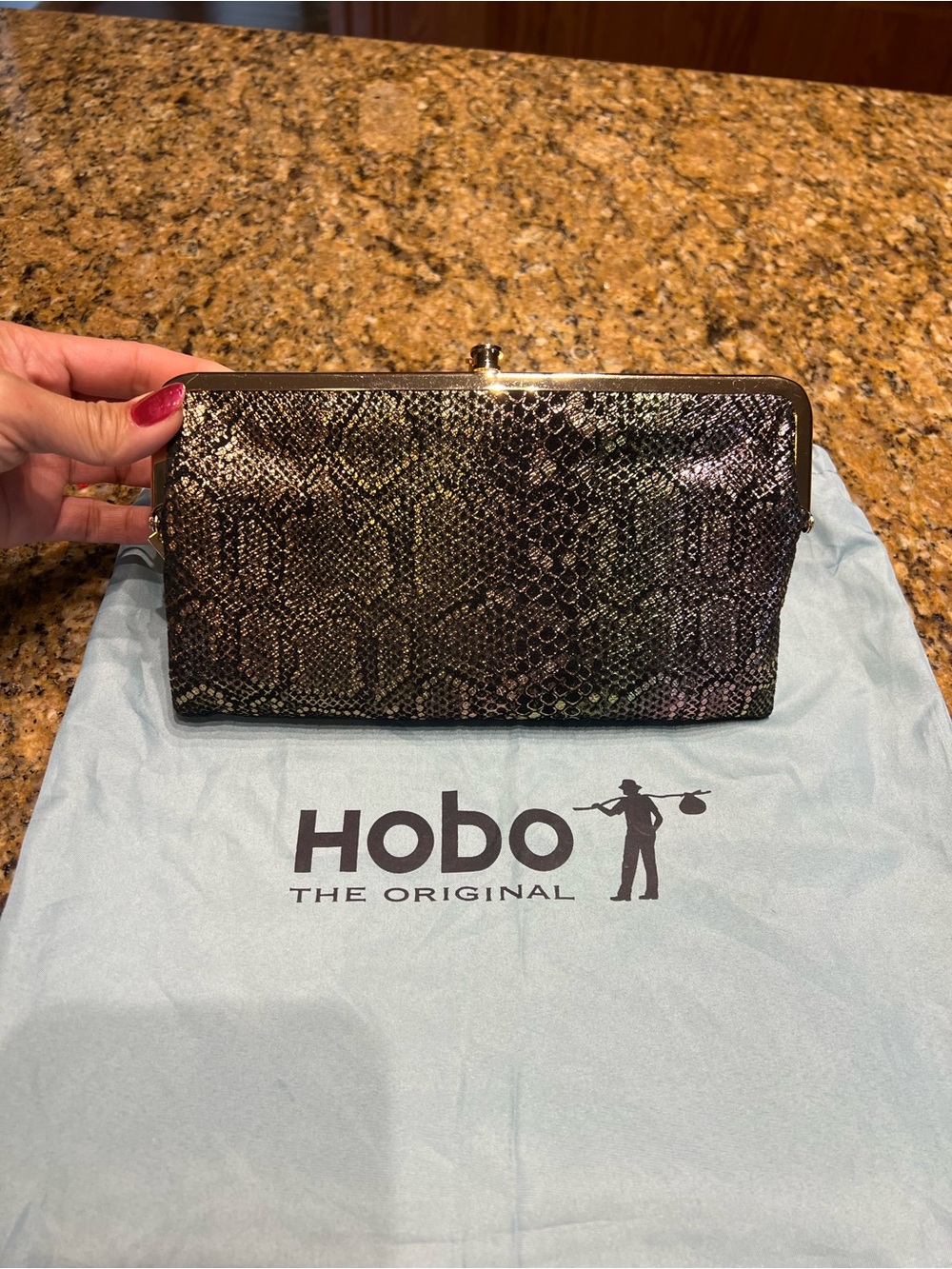 HOBO Iridescent Snake-Embossed Clutch in Brown and Black